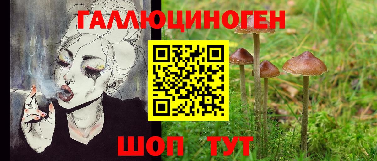 Ахтубинск  Псилоцибиновые грибы мухоморы  как найти закладки  Вход с VPN 