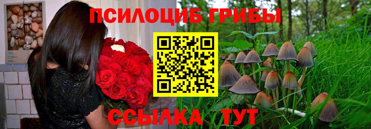 Галлюциногенные грибы GOLDEN TEACHER Ахтубинск